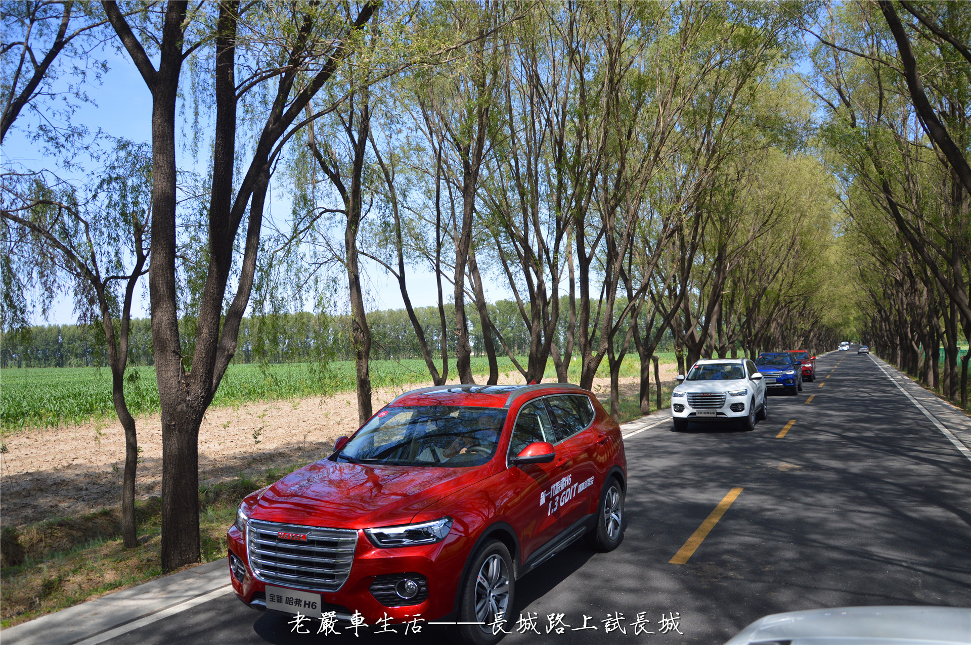 长城哈弗h62022款试驾视频,哈弗h61.3t排量汽车怎么样