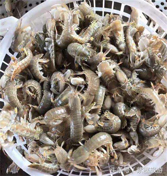 河北田园农家乐攻略,河北海边最有特色的海边农家乐