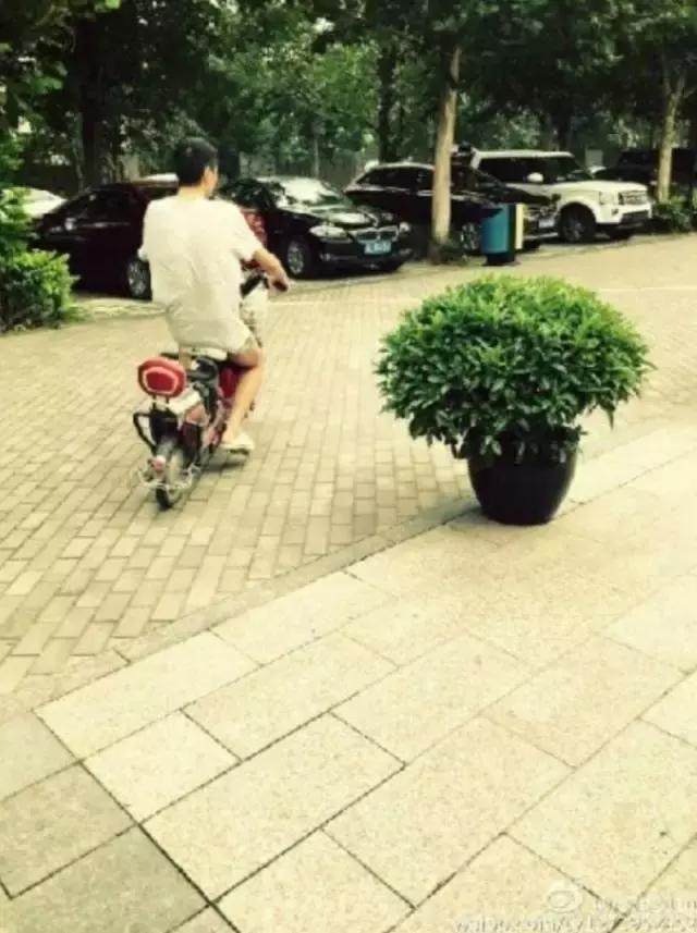 朴树因为缺钱上过的节目,朴树缺钱是什么原因