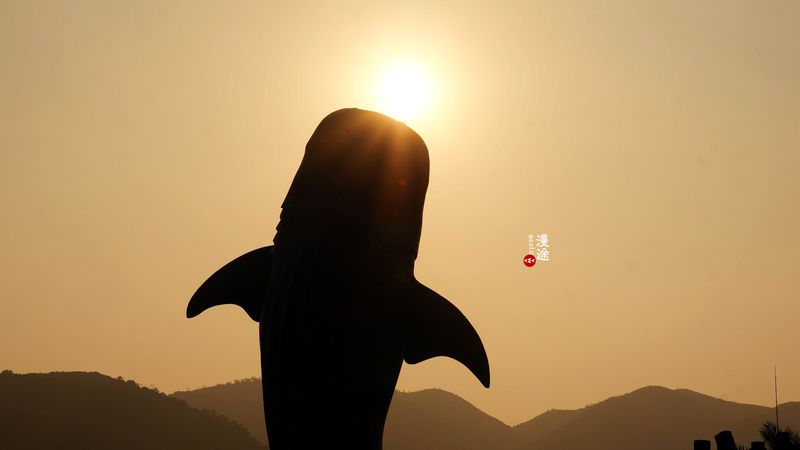 长隆亲子两大两小旅游攻略,珠海长隆横琴湾酒店亲子攻略