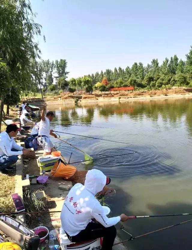 河南最近有哪些钓鱼比赛,南阳钓鱼竞技比赛