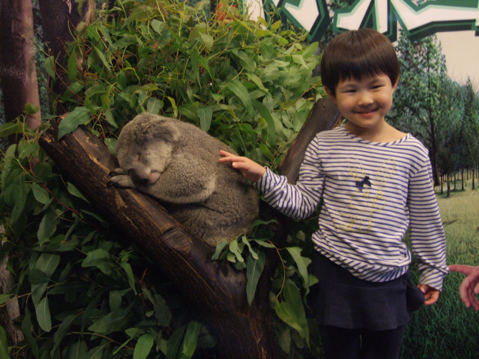 广州香港迪士尼一日游报团,长隆好玩还是迪士尼好玩