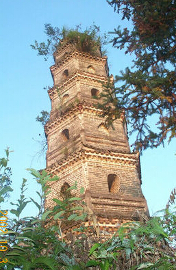 湖南汝城热水镇2024年发展规划,湖南汝城温泉镇介绍