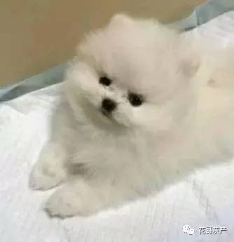 灰产如何规避打击,灰产处置