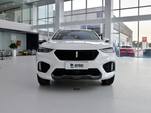 weyvv7哪款好,weyvv7真实优缺点