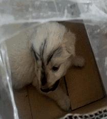 灰产如何规避打击,灰产处置