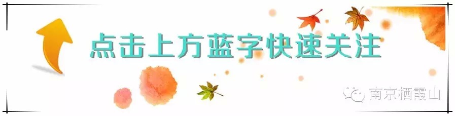 栖霞山丨夏至：翻空白鸟时时见，照水红蕖细细香
