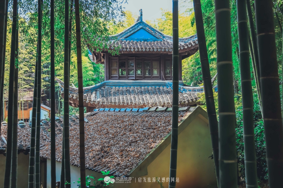 去木子山庄感受禅意，去观察奇曲茶