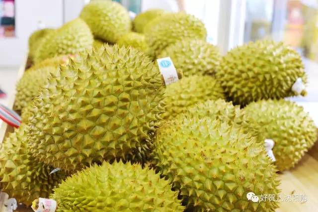 有好贺｜无公害蔬果产地直送、进口食品极速送货，沈阳购电商直营店开业啦！