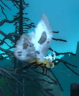 魔兽世界猎人稀有精英宝宝,猎人7.0宝宝推荐