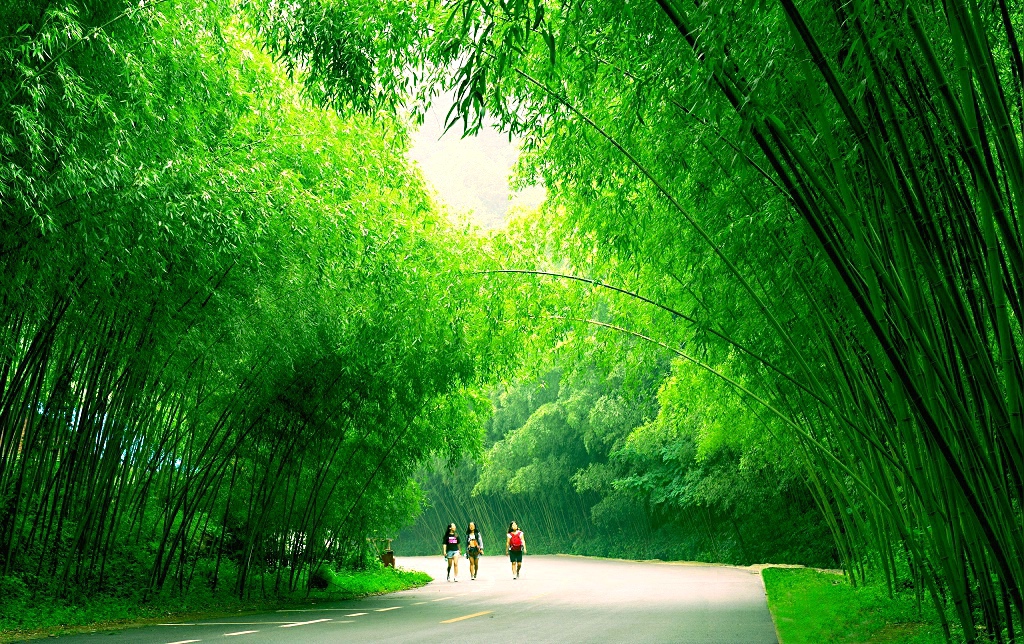 欢乐颂咖喱咖喱插曲,欢乐颂咖喱咖喱原视频