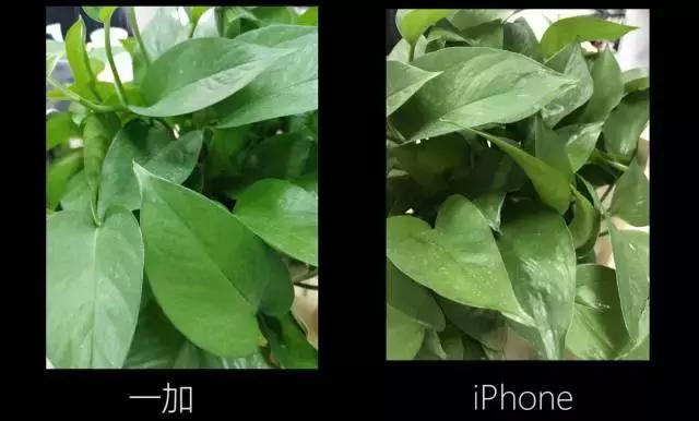 一加5是否值得入手,一加5现在还值得入手吗