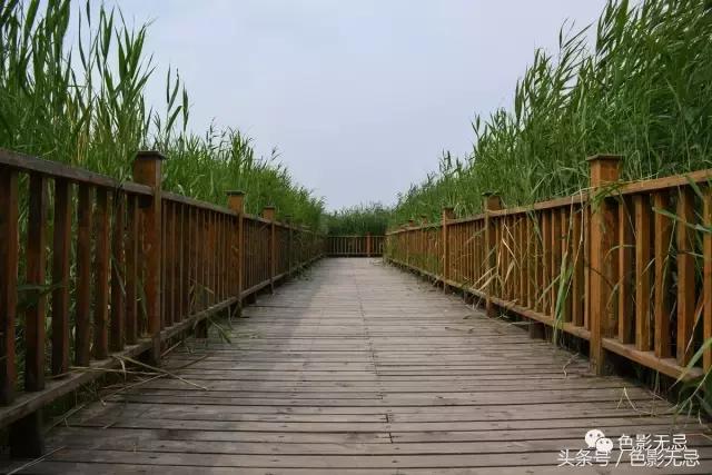 尼康半画幅d7500拍人像,尼康d7500是全画幅吗