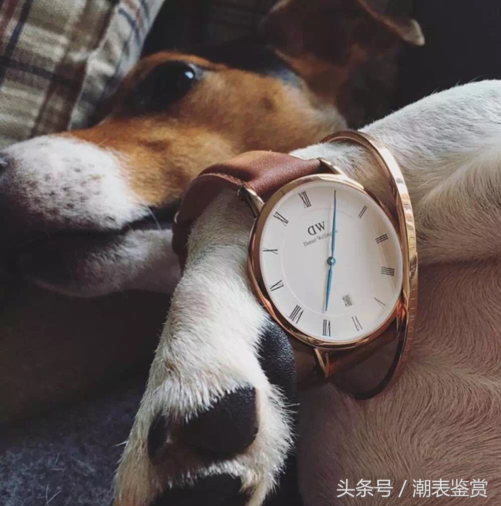 如何辨别dw00100219手表真假 (怎么区分dw手表真假)