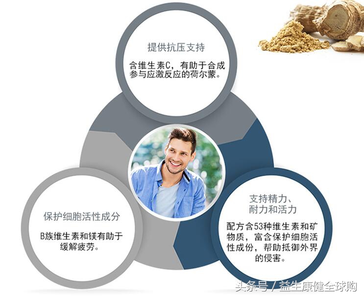 swisse男士抗疲劳,swisse老年男士复合维生素功效