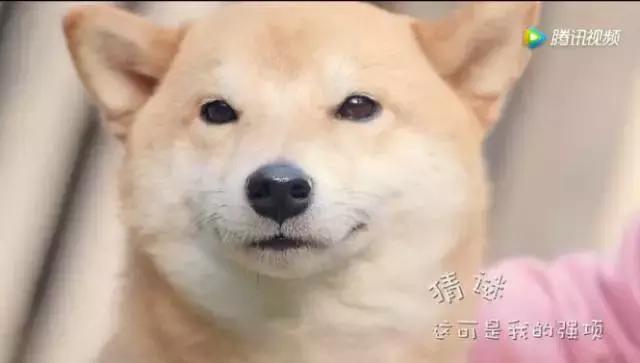 魔性表情,魔性的表情