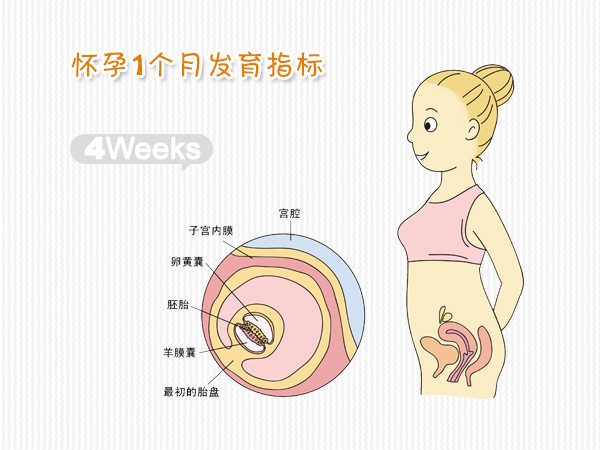 怀孕一个月征兆有哪些,怀孕一个月征兆