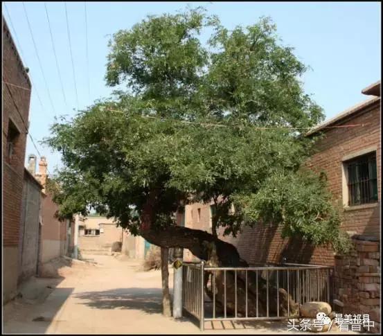 祁县三个村,祁县所有村名单
