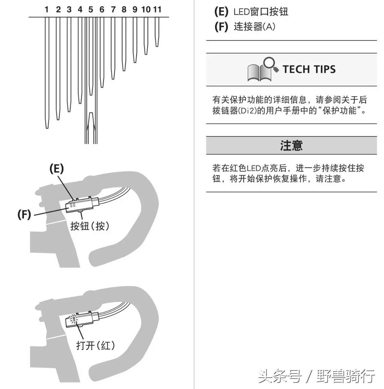 不会变速的自行车叫什么,不会变速怎么办