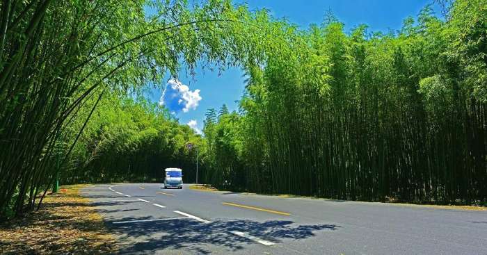 欢乐颂咖喱咖喱插曲,欢乐颂咖喱咖喱原视频