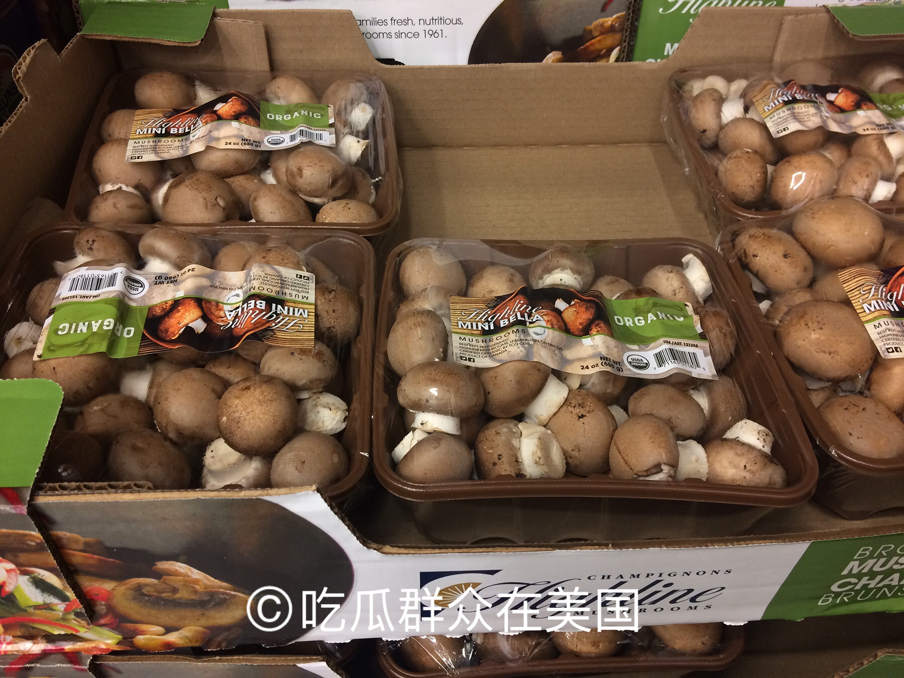 美国华人超市蔬菜价目表,美国超市的蔬菜价格到底有多贵