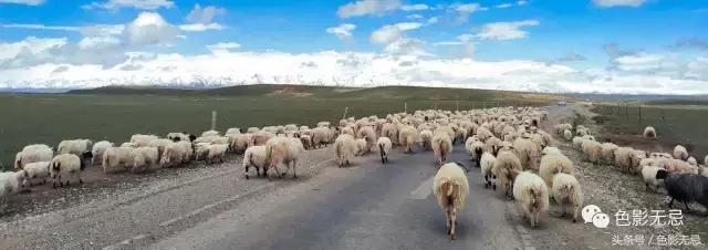 努比亚z17骁龙835跑分,努比亚z17的835是满血版吗