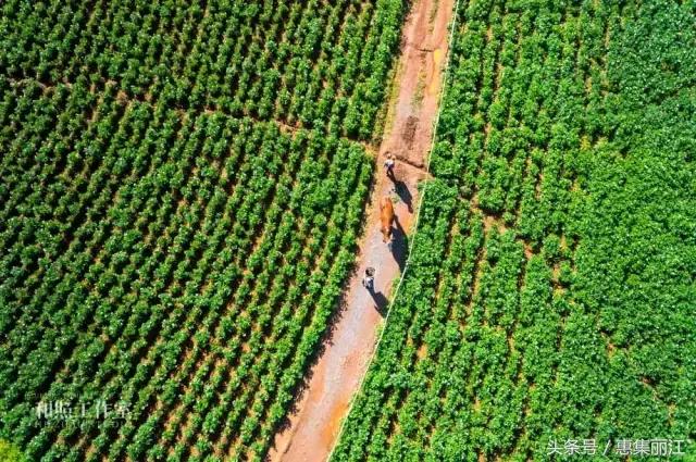 上帝眼中的世界,上帝眼里的风景