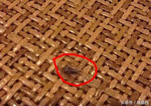 凉席是草席好还是竹席好,凉席和草席该选哪个