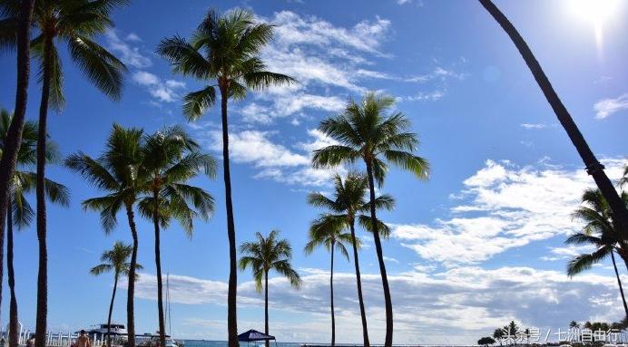 夏威夷茂宜岛购物攻略,夏威夷必买17种购物清单
