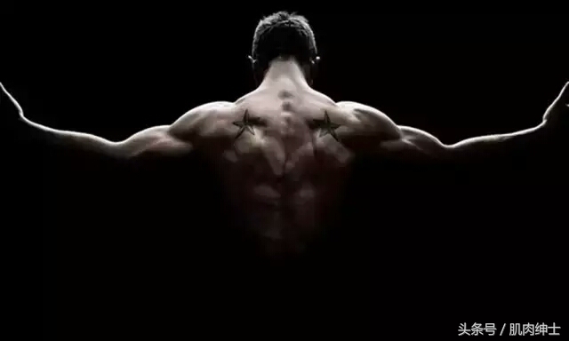 新手哑铃健身一周训练计划,新手健身适合什么样的计划