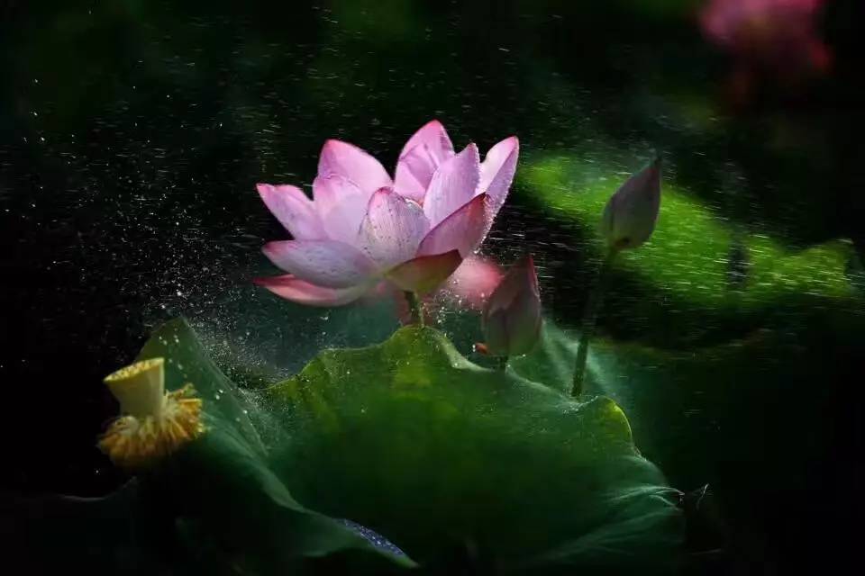 夏天的骄阳十分炎热,夏日的骄阳美歌曲完整版