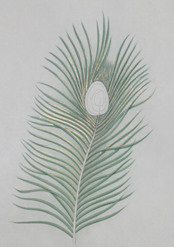 孔雀开屏的图片国画孔雀的画法,国画孔雀的画法图片