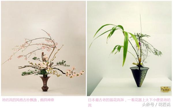 花艺插花花道有哪些区别,插花的几种基本造型花艺