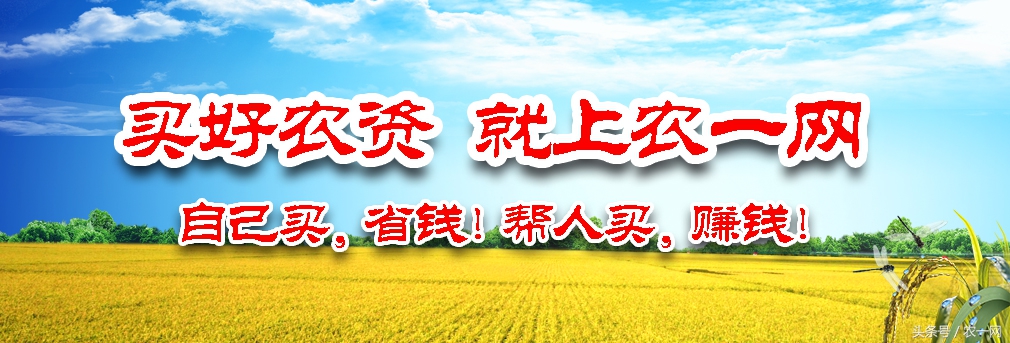 2019年农资生意还好做吗,你的农资生意可不可以做得更大