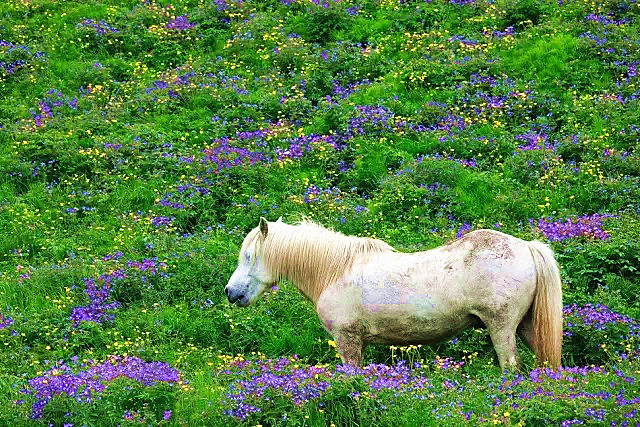 出门旅游如何看日出日落,一个人去看日落是怎样的体验