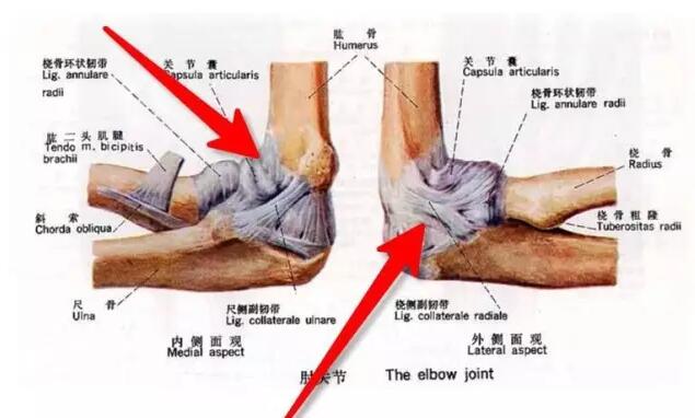 撑筋拔骨能练力量吗,抻筋拔骨功法视频