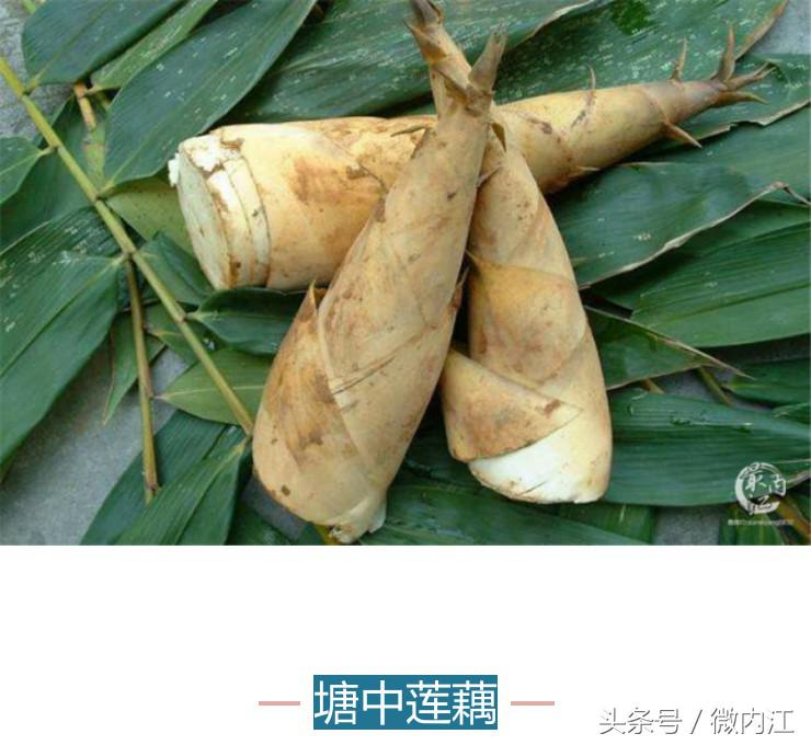 隆昌市创建天府旅游名县有望吗,内江市隆昌市第一大镇是哪里