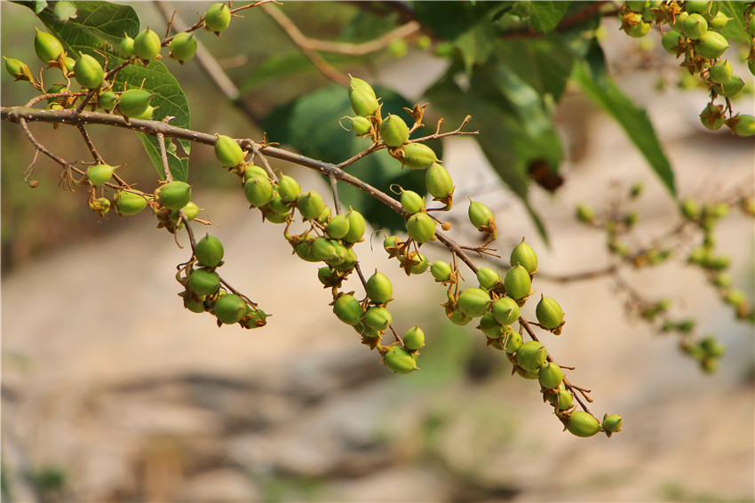 北京青龙峡和太行山青龙峡,怀柔青龙峡景区有什么好玩的地方