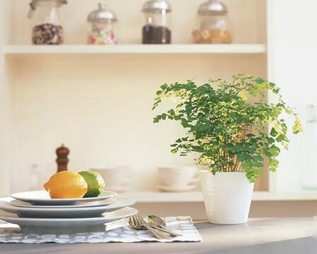 新风系统适合的6类家庭中有你吗?