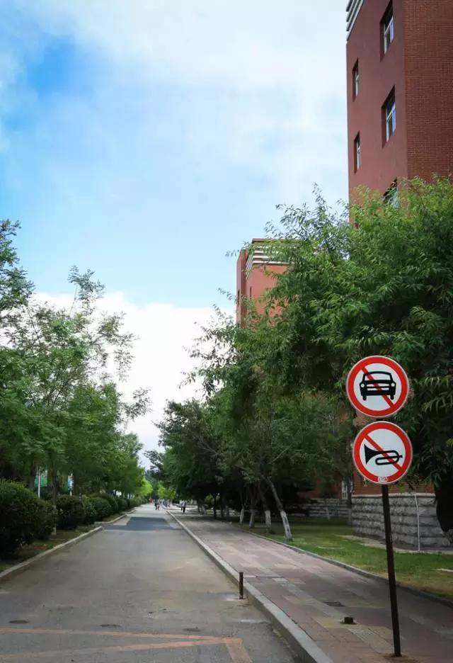 沈阳师范大学青春,再见青春沈阳