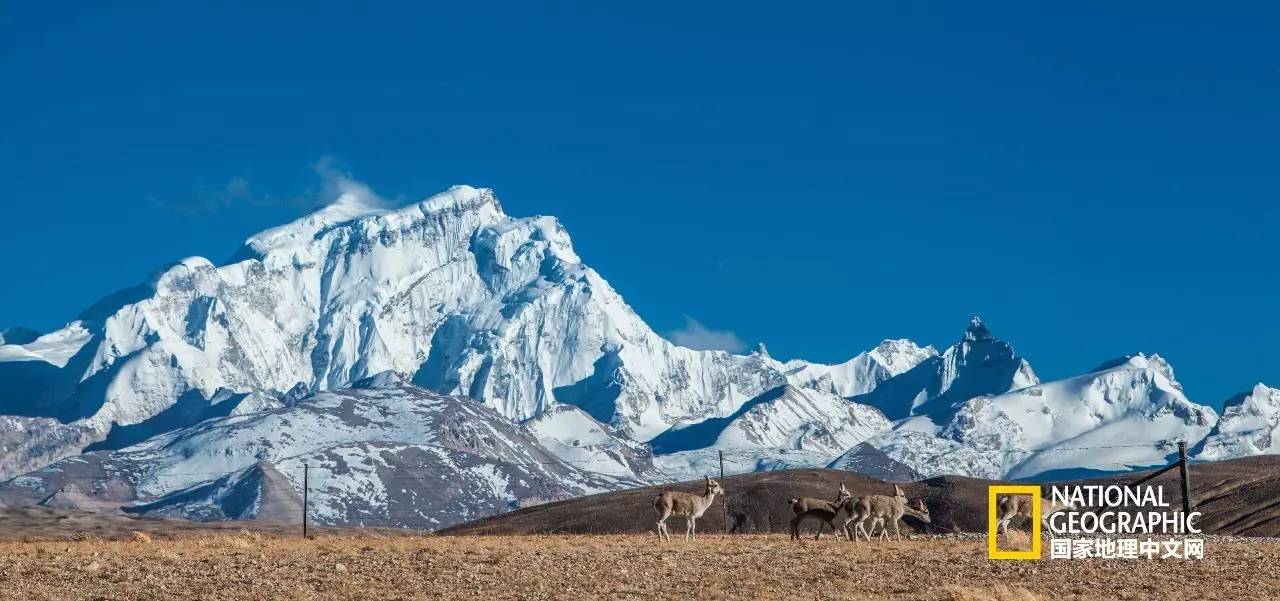 一次惊险的冒险之旅南极冰川,神奇的南极冰川探险之旅感受