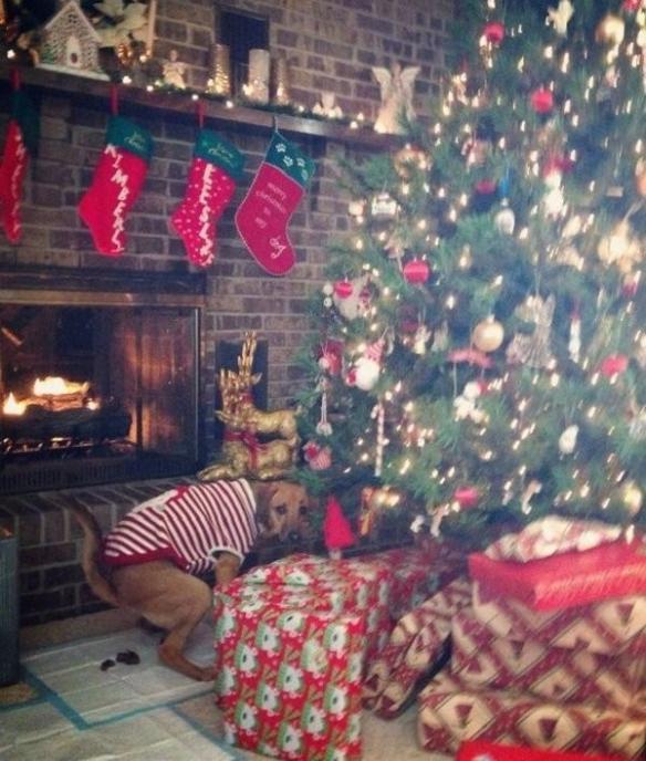 韩国专属“火病”又能申遗了!每日轻松一刻6月27日午间版