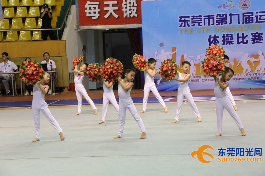 第九届东莞市市运会,2022东莞市体操锦标赛
