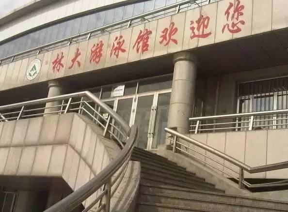 收藏｜34℃请来水中避暑！哈尔滨游泳馆最全攻略