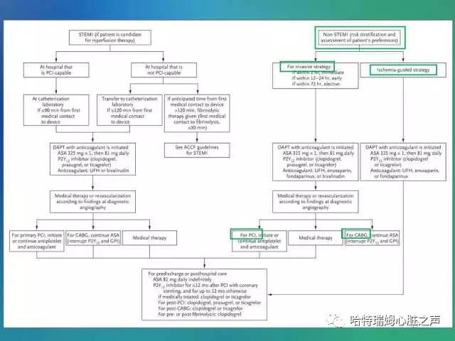 关于“急性心肌梗死”的科普,心肌梗死临床指南最新