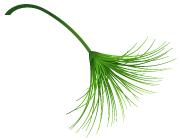 小女孩遇到陌生人搭讪怎么处理,小孩在外面遇到陌生人搭讪