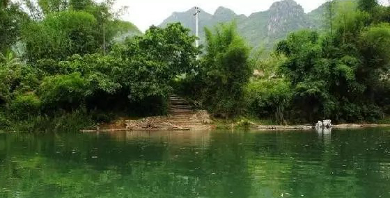 居然有人给芒果这种生物开世界大会,逼格升级,田东又要火上天啊!