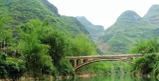 居然有人给芒果这种生物开世界大会,逼格升级,田东又要火上天啊!