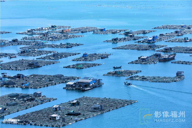 游茶山,游茶山竹海