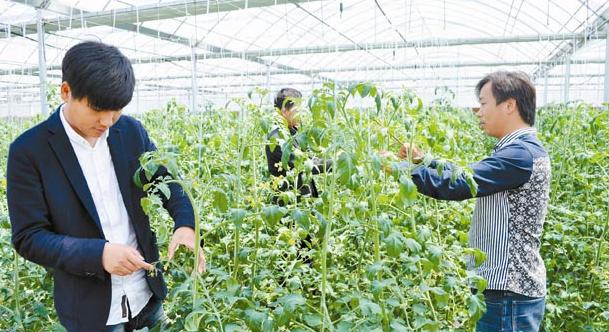 南通特色产业园区招商引资条件,南通市创业孵化基地入驻条件